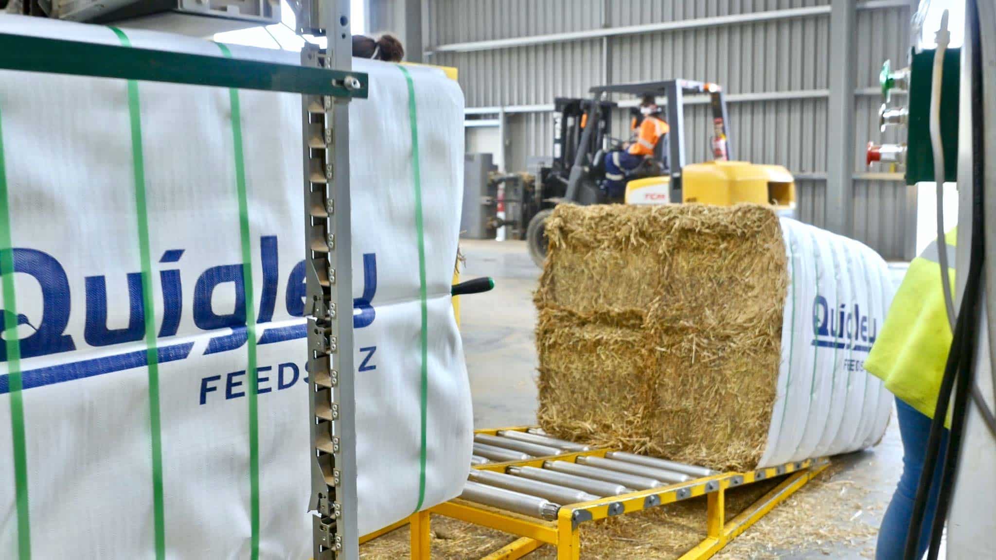 Hay bales on a conveyor belt in a warehouse.