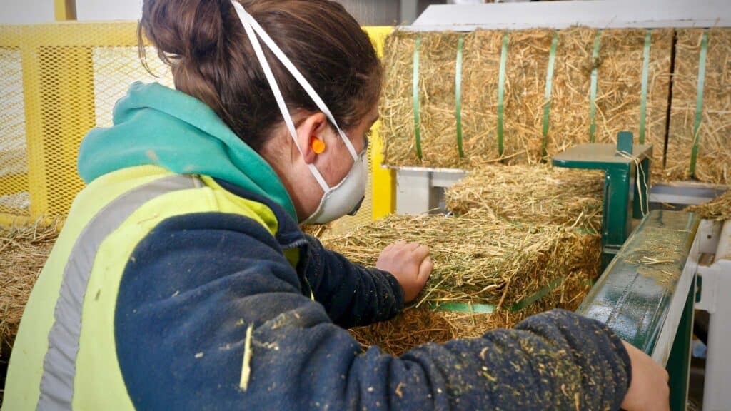 マスクをした女性が干し草を機械に入れている。