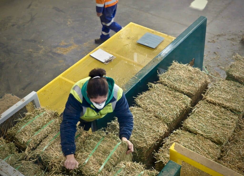 工場で干し草を積み上げる作業員。